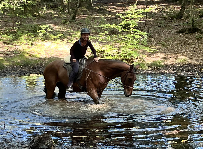 Zusammen Freude haben