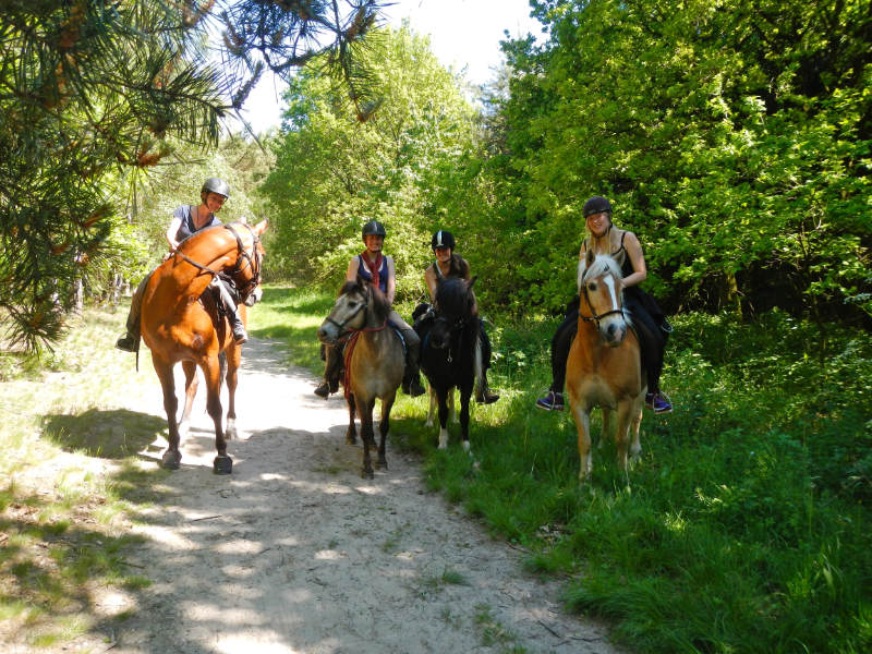In der Gemeinschaft Abenteuer erleben